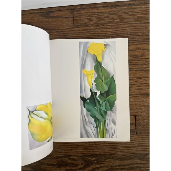 Georgia O'Keeffe One Hundred Flowers 1989 First Paperback Edition Art Book - Picture 2 of 5